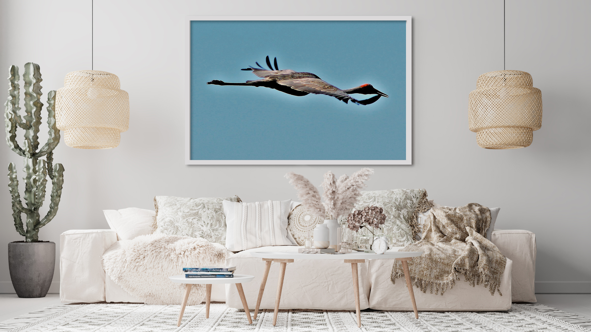 Brolga Crane original abstract contextualised office art modern decor photo print by Blair Montague Drake
